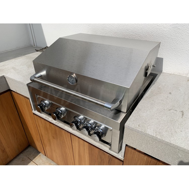 Outdoor Embed Gas Grill