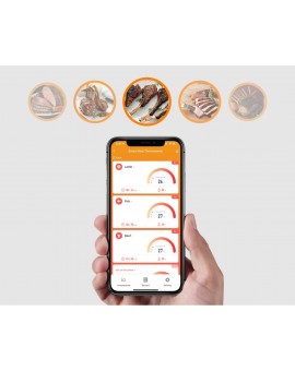 Smart Wireless Bluetooth Grill Meat Thermometer