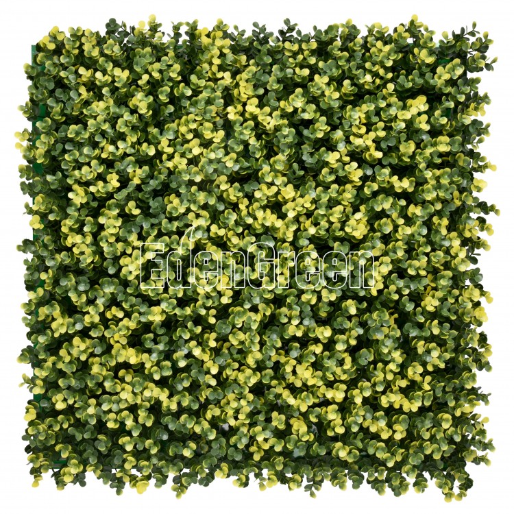 EdenGreen Vertical Green Wall EGA016 50*50cm
